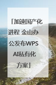 加速国产化进程 金山办公发布WPS AI私有化方案