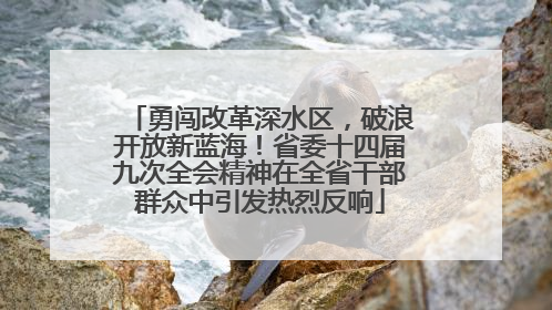 勇闯改革深水区，破浪开放新蓝海！省委十四届九次全会精神在全省干部群众中引发热烈反响