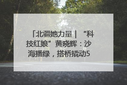 北疆她力量｜“科技红娘”黄晓辉：沙海播绿，搭桥撬动5.3亿研发