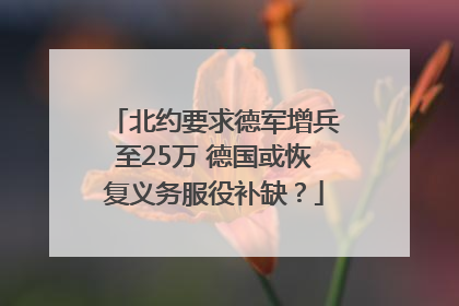 北约要求德军增兵至25万 德国或恢复义务服役补缺？