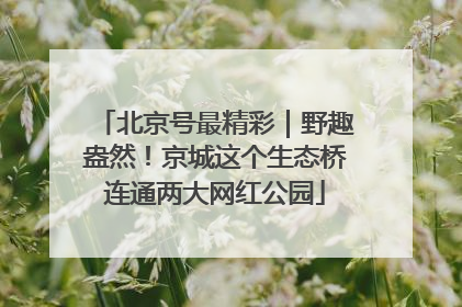 北京号最精彩｜野趣盎然！京城这个生态桥连通两大网红公园