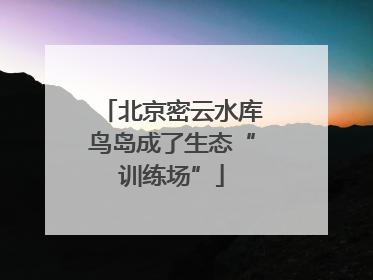 北京密云水库鸟岛成了生态“训练场”