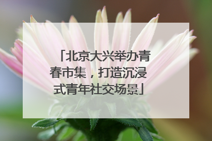 北京大兴举办青春市集，打造沉浸式青年社交场景