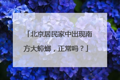 北京居民家中出现南方大蟑螂，正常吗？