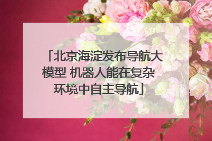 北京海淀发布导航大模型 机器人能在复杂环境中自主导航