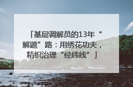 基层调解员的13年“解题”路：用绣花功夫，精织治理“经纬线”