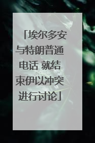 埃尔多安与特朗普通电话 就结束伊以冲突进行讨论