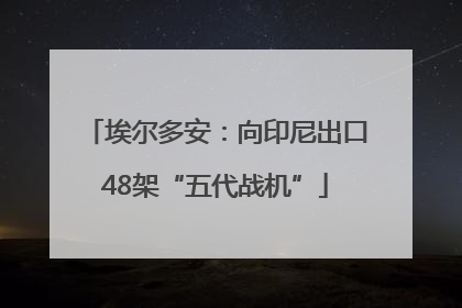 埃尔多安：向印尼出口48架“五代战机”