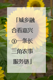 城乡融合看嘉兴③一条长三角农事服务链