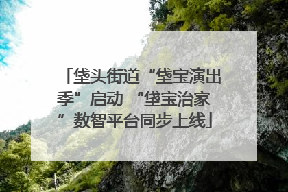 垡头街道“垡宝演出季”启动 “垡宝治家”数智平台同步上线