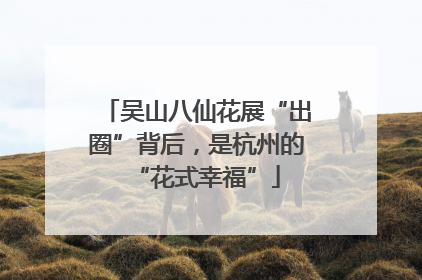 吴山八仙花展“出圈”背后，是杭州的“花式幸福”