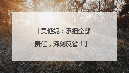 吴艳妮：承担全部责任，深刻反省！