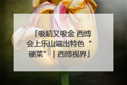 吸睛又吸金 西博会上乐山端出特色“硬菜”｜西博视界