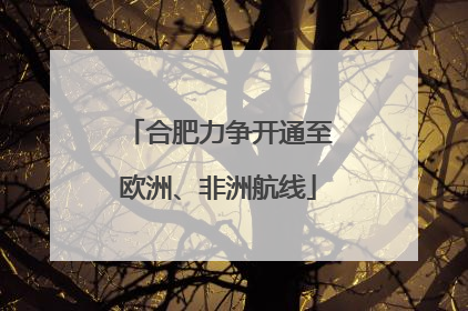 合肥力争开通至欧洲、非洲航线