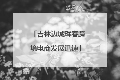 吉林边城珲春跨境电商发展迅速