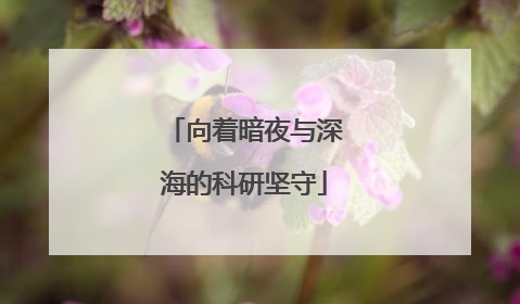向着暗夜与深海的科研坚守