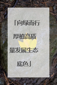 向绿而行 厚植高质量发展生态底色