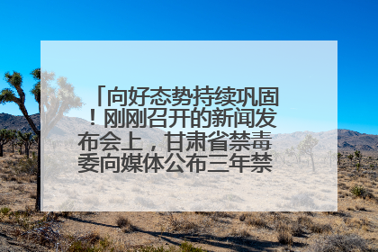 向好态势持续巩固！刚刚召开的新闻发布会上，甘肃省禁毒委向媒体公布三年禁毒工作“成绩单”