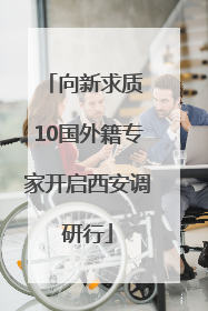 向新求质 10国外籍专家开启西安调研行