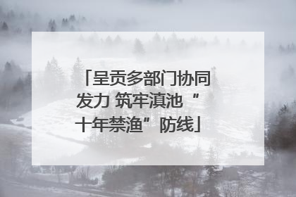 呈贡多部门协同发力 筑牢滇池“十年禁渔”防线