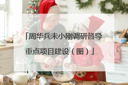 周华兵未小刚调研督导重点项目建设（图）