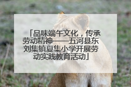 品味端午文化，传承劳动精神——五河县东刘集镇夏集小学开展劳动实践教育活动