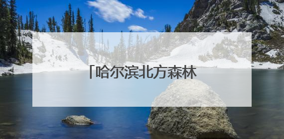 哈尔滨北方森林动物园“私人定制”粽子迎端午
