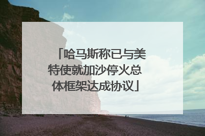 哈马斯称已与美特使就加沙停火总体框架达成协议