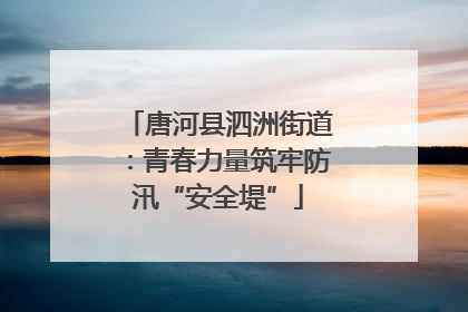 唐河县泗洲街道：青春力量筑牢防汛“安全堤”