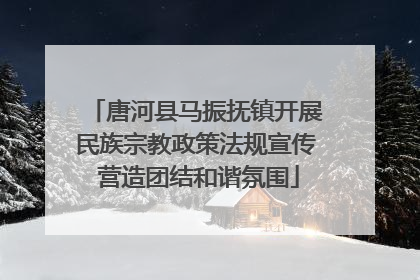 唐河县马振抚镇开展民族宗教政策法规宣传 营造团结和谐氛围