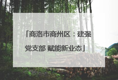 商洛市商州区：建强党支部 赋能新业态