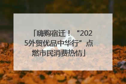 嗨购宿迁！“2025外贸优品中华行”点燃市民消费热情