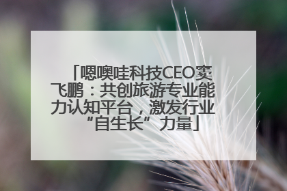 嗯噢哇科技CEO窦飞鹏：共创旅游专业能力认知平台，激发行业“自生长”力量