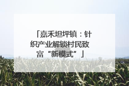嘉禾坦坪镇：针织产业解锁村民致富“新模式”