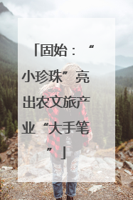 固始：“小珍珠”亮出农文旅产业“大手笔”