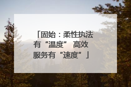 固始：柔性执法有“温度” 高效服务有“速度”