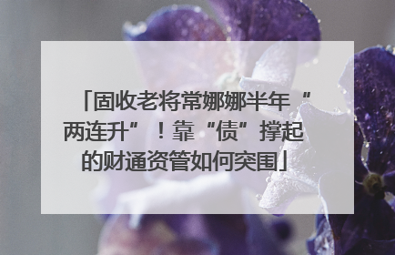 固收老将常娜娜半年“两连升”！靠“债”撑起的财通资管如何突围