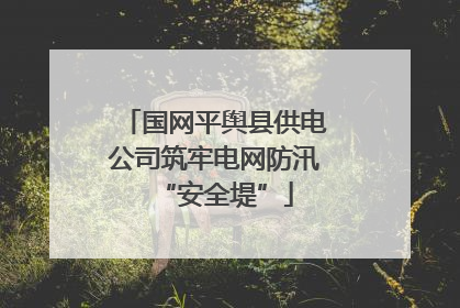 国网平舆县供电公司筑牢电网防汛“安全堤”