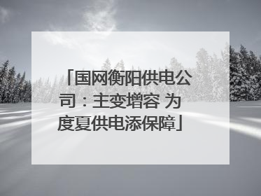 国网衡阳供电公司：主变增容 为度夏供电添保障