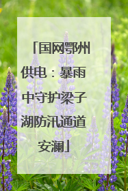 国网鄂州供电：暴雨中守护梁子湖防汛通道安澜