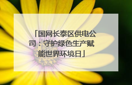 国网长泰区供电公司：守护绿色生产赋能世界环境日