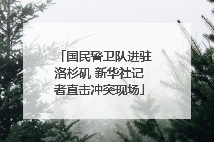 国民警卫队进驻洛杉矶 新华社记者直击冲突现场