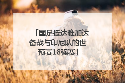 国足抵达雅加达备战与印尼队的世预赛18强赛