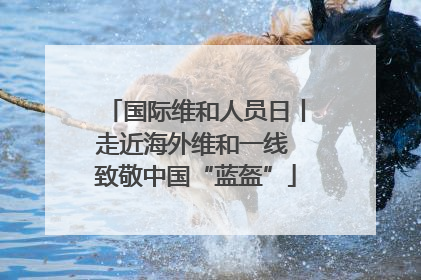 国际维和人员日丨走近海外维和一线 致敬中国“蓝盔”
