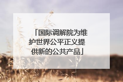 国际调解院为维护世界公平正义提供新的公共产品