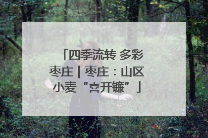 四季流转 多彩枣庄｜枣庄：山区小麦“喜开镰”