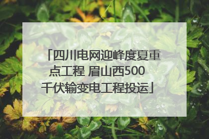 四川电网迎峰度夏重点工程 眉山西500千伏输变电工程投运