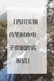 四川实现首笔财政电子票据跨省报销