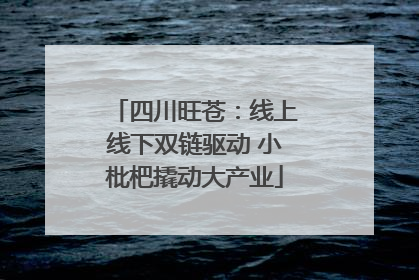 四川旺苍：线上线下双链驱动 小枇杷撬动大产业
