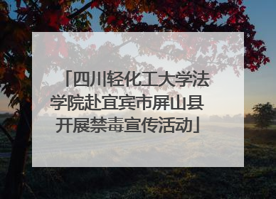 四川轻化工大学法学院赴宜宾市屏山县开展禁毒宣传活动